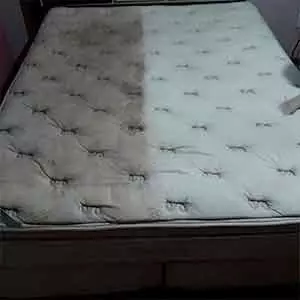 Seu Limpeza de piso em Maceió Limpo